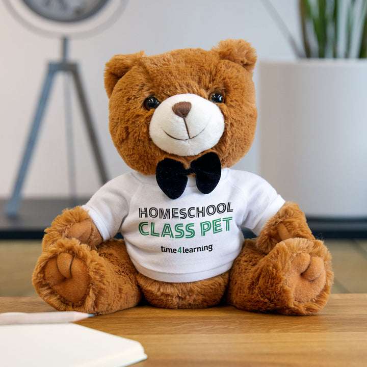 Teddy Bear | Homeschool Class Pet - Cuddly Companion, Gift for Homeschool Kids, Soft Toy for Back to Homeschool