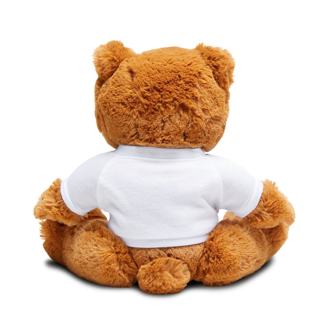 Teddy Bear | Homeschool Class Pet - Cuddly Companion, Gift for Homeschool Kids, Soft Toy for Back to Homeschool
