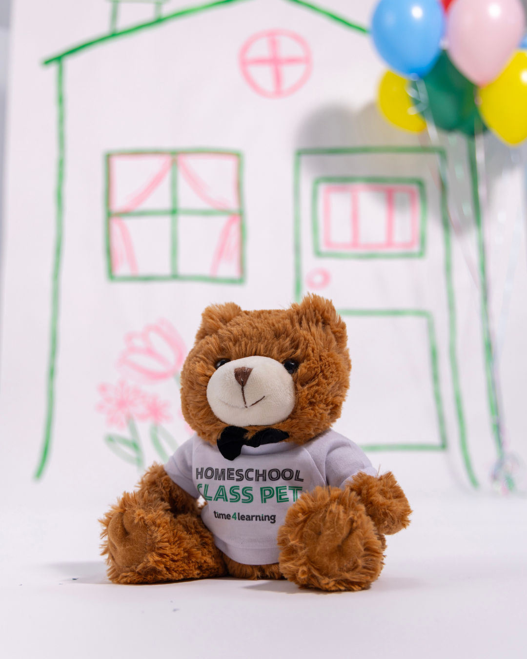 Teddy Bear | Homeschool Class Pet - Cuddly Companion, Gift for Homeschool Kids, Soft Toy for Back to Homeschool
