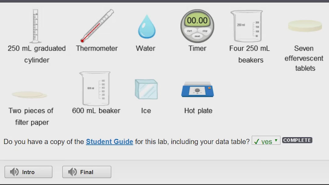 Twelfth Grade Virtual School
