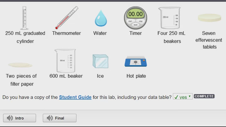 Twelfth Grade Virtual School