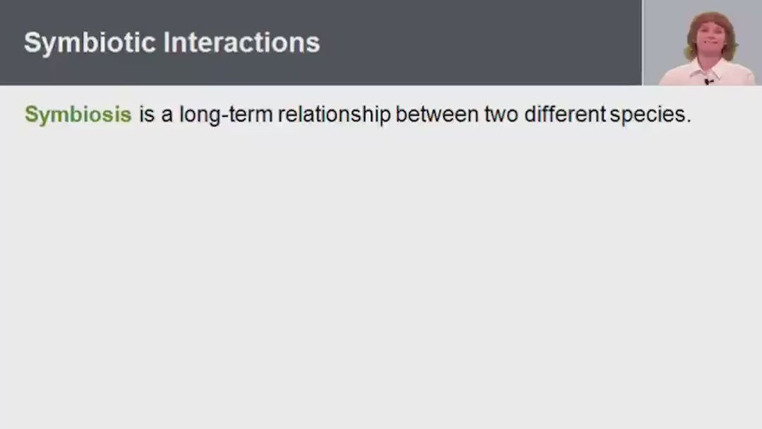 Tenth Grade Curriculum