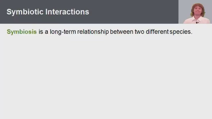 Tenth Grade Curriculum