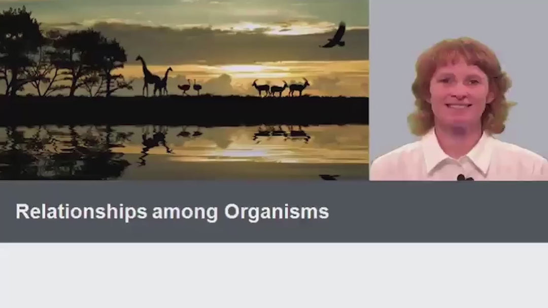 Ninth Grade Virtual School