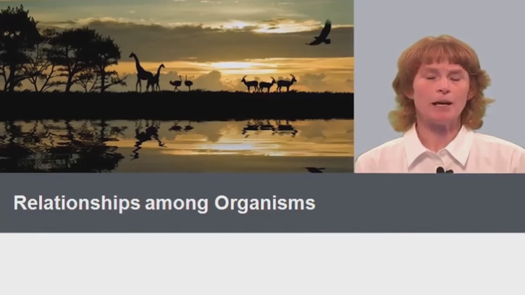 Eleventh Grade Virtual School