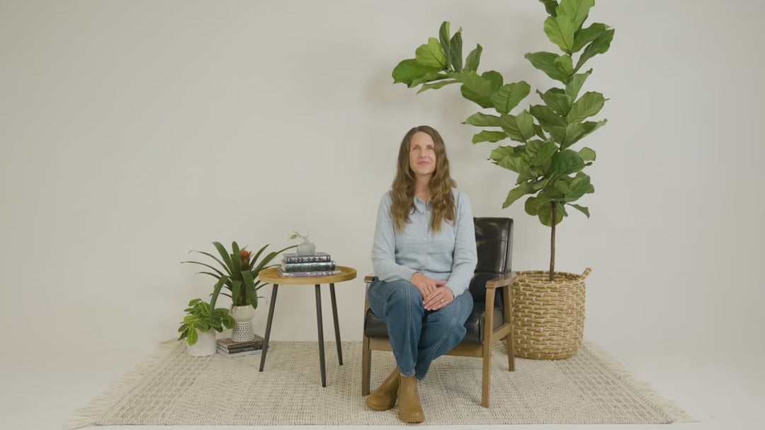 Tenth Grade Curriculum + Time4Languages Bundle - One Year